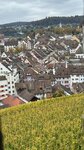 IMG_4140