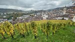 IMG_4147