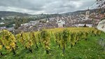 IMG_4148