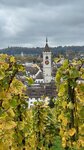 IMG_4151