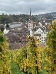IMG_4155