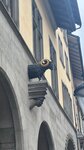 IMG_4164