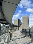 IMG_2083