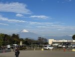 IMG_2835