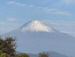 IMG_2836