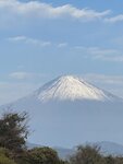 IMG_2837