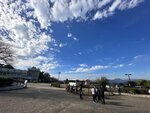 IMG_2838