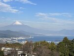 IMG_2860