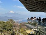 IMG_2920