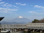 IMG_2924