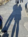 IMG_2931
