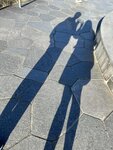 IMG_2932