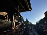 IMG_2964
