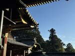 IMG_2965
