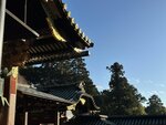 IMG_2967