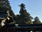 IMG_2968