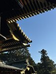 IMG_2971