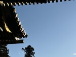 IMG_2972
