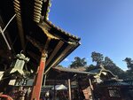 IMG_2973