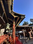 IMG_2974