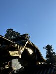 IMG_2978