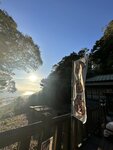 IMG_3036
