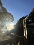 IMG_3037