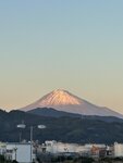 IMG_3394
