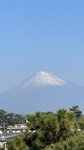 IMG_E3119