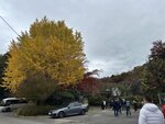 IMG_3417