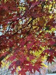 IMG_3430