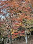 IMG_3551