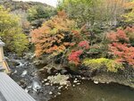 IMG_3584