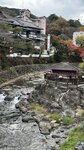 IMG_3590