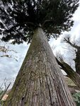 IMG_3596
