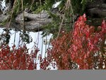IMG_3658