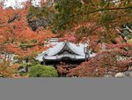 IMG_3722