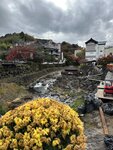 IMG_3762