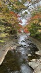 IMG_E3713