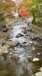 IMG_E3718
