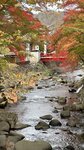 IMG_E3720