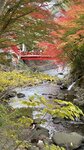 IMG_E3723