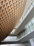IMG_3912