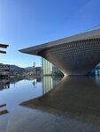 IMG_3915