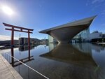IMG_3916