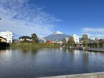 IMG_3921