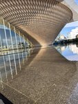 IMG_3957