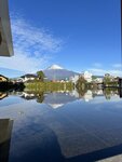 IMG_3958