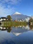 IMG_3959