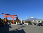 IMG_3993